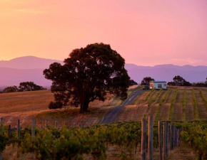 Hounds Run Vineyard - Tiny House in the Grampians